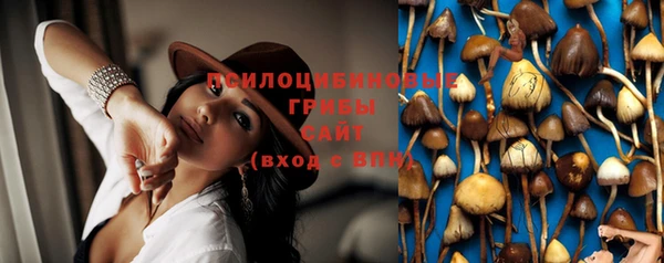 PSILOCYBIN Богданович