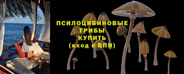 PSILOCYBIN Богданович