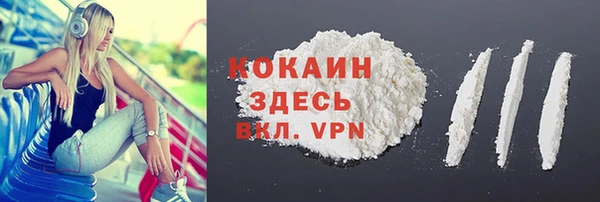 2c-b Богородицк