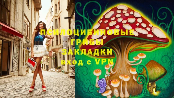 2c-b Богородицк