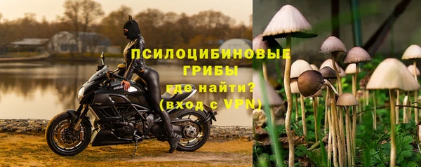 2c-b Богородицк