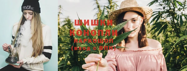 PSILOCYBIN Богданович