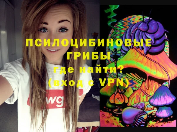 2c-b Богородицк
