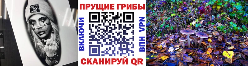Псилоцибиновые грибы GOLDEN TEACHER  где продают   Уфа 